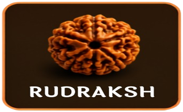 Rudraksh